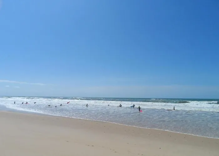 Lo Bonur Es Dens Lo Prat * 苏斯通